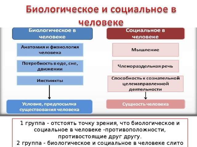 Человек в системе социальных связей презентация