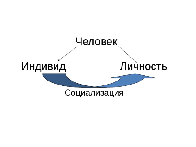 Человек индивид личность схема