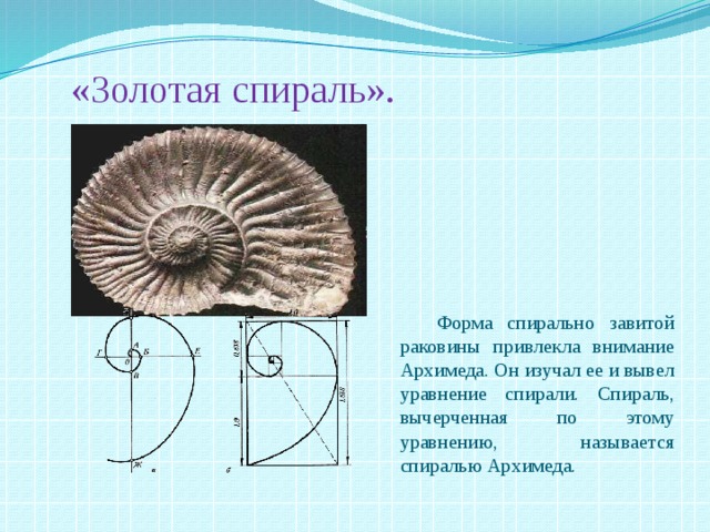 Спираль архимеда презентация