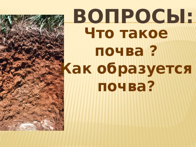 Вопросы: Что такое почва ? Как образуется почва? 