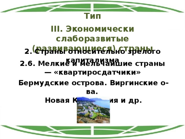 Тип III. Экономически слаборазвитые (развивающиеся) страны 2. Страны относительно зрелого капитализма 2.6. Мелкие и мельчайшие страны — «квартиросдатчики» Бермудские острова. Виргинские о-ва. Новая Каледония и др. 