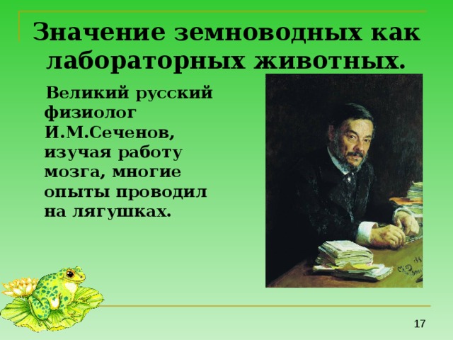 Значение земноводных как лабораторных животных.  Великий русский физиолог И.М.Сеченов, изучая работу мозга, многие опыты проводил на лягушках. 