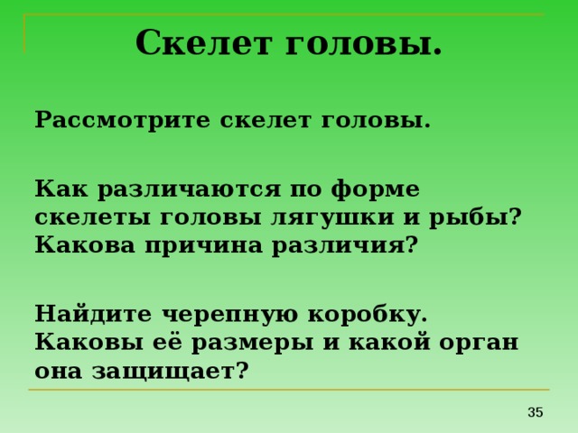 Скелет головы. Рассмотрите скелет головы.  Как различаются по форме скелеты головы лягушки и рыбы? Какова причина различия?  Найдите черепную коробку. Каковы её размеры и какой орган она защищает? 