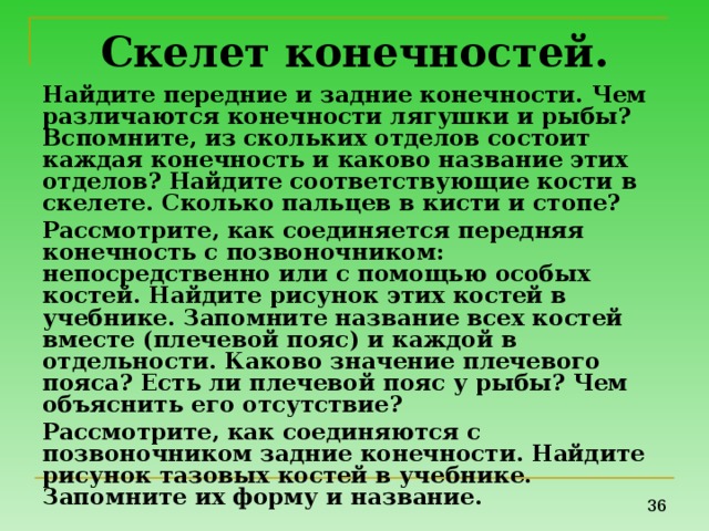 Скелет конечностей. Найдите передние и задние конечности. Чем различаются конечности лягушки и рыбы? Вспомните, из скольких отделов состоит каждая конечность и каково название этих отделов? Найдите соответствующие кости в скелете. Сколько пальцев в кисти и стопе? Рассмотрите, как соединяется передняя конечность с позвоночником: непосредственно или с помощью особых костей. Найдите рисунок этих костей в учебнике. Запомните название всех костей вместе (плечевой пояс) и каждой в отдельности. Каково значение плечевого пояса? Есть ли плечевой пояс у рыбы? Чем объяснить его отсутствие? Рассмотрите, как соединяются с позвоночником задние конечности. Найдите рисунок тазовых костей в учебнике. Запомните их форму и название. 