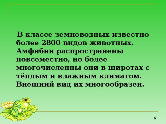  В классе земноводных известно более 2800 видов животных. Амфибии распространены повсеместно, но более многочисленны они в широтах с тёплым и влажным климатом. Внешний вид их многообразен. 