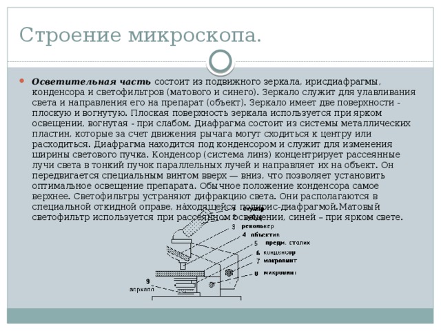 Какую функцию выполняет зеркальце в микроскопе