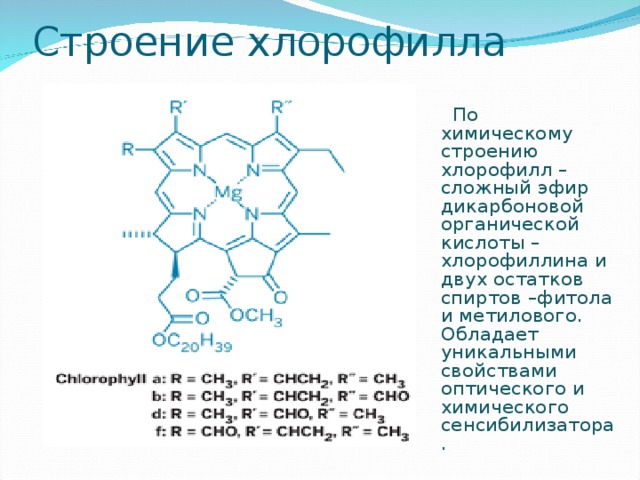 Состав хлорофилла. Хлорофилл формула комплекс. Схематическое строение хлорофилла. Хлорофилл хим строение. Хлорофилл формула химическая.