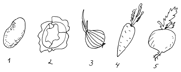 Найди на рисунке плоды растений и обведи их огурец капуста свекла вишня