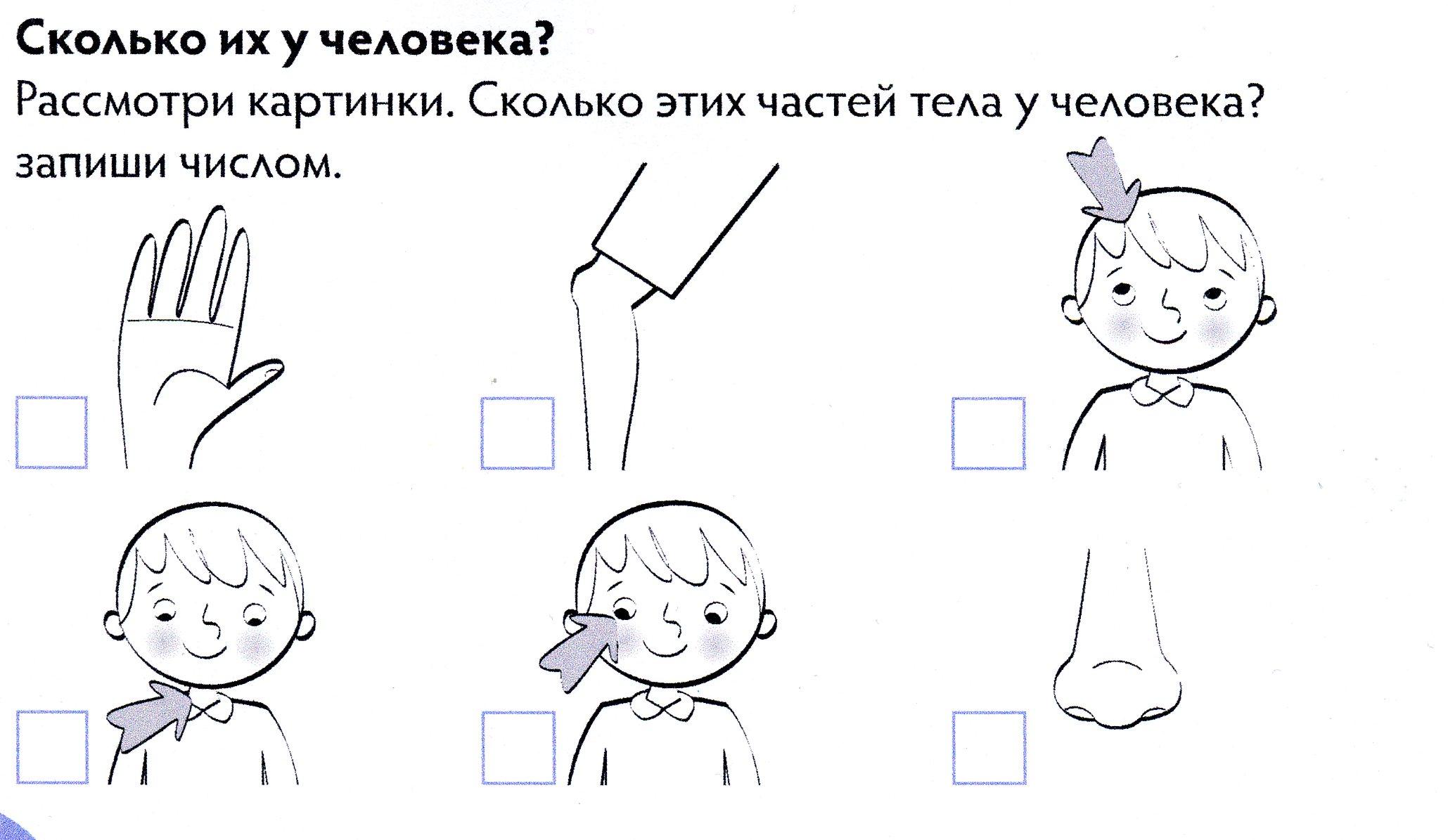 Задания части. Части тела человека задания. Человек задания для дошкольников. Части тела задания для дошкольников. Тело человека задания для дошкольников.