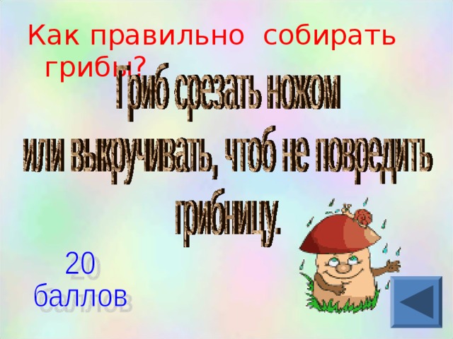 Как правильно собирать грибы?