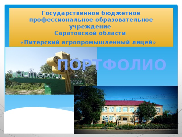 Государственное бюджетное профессиональное образовательное учреждение  Саратовской области  «Питерский агропромышленный лицей»  ПОРТФОЛИО 
