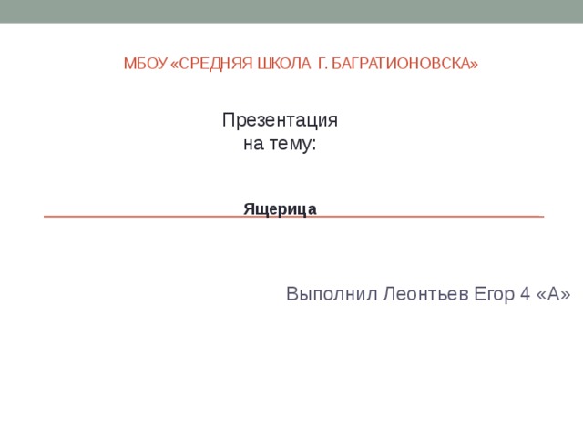 МБОУ «Средняя школа Г. Багратионовска» Презентация  на тему:   Ящерица Выполнил Леонтьев Егор 4 «А»    