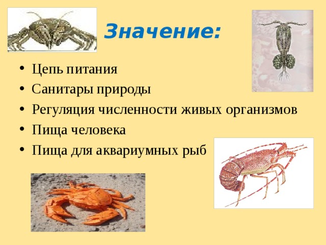 Значение: Цепь питания Санитары природы Регуляция численности живых организмов Пища человека Пища для аквариумных рыб 