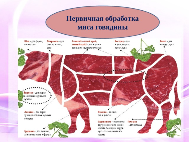 Первичная обработка мяса говядины 