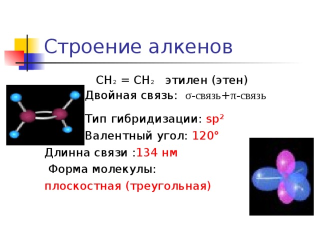 Строение алкенов  СН 2 = СН 2 этилен (этен)  Двойная связь: σ-связь + π-связь     Тип гибридизации: sp ²  Валентный угол: 120° Длинна связи : 134 нм  Форма молекулы: плоскостная (треугольная)   