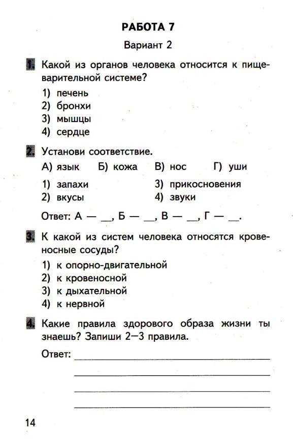 Промежуточная аттестация 3 класс технология проект