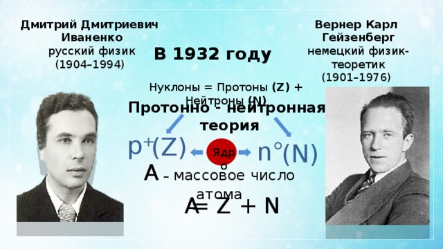 Дмитрий Дмитриевич Вернер Карл Иваненко Гейзенберг русский физик немецкий физик-теоретик (1904–1994) (1901–1976) В 1932 году Нуклоны = Протоны (Z) + Нейтроны (N) Протонно - нейтронная теория р⁺ (Z) n° (N) Ядро А – массовое число атома А = Z + N 