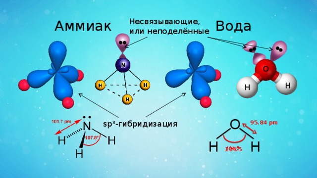 Гибридизация воды sp3. Молекула аммиака гибридизация. Аммиак гибридизация орбиталей. Sp3 гибридизация азота. Sp3 гибридизация кислорода.