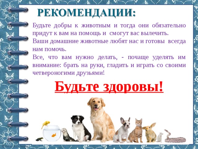 Виды работы по уходу за домашними животными. Будьте добры к животным. Будьте добрее к животным. Животные которые нас лечат. Вопросы к домашним питомцам.