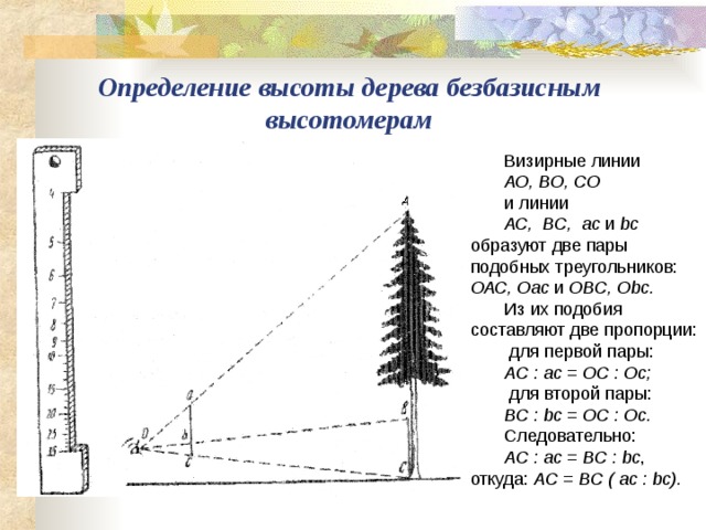 Используя данные рисунка 188 найдите высоту дерева