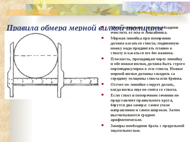 Метод диаметров. Линейка для замера толщины ствола. Мерная вилка для определения диаметра ствола. Измерение диаметра ствола. Правила обмера древесины.