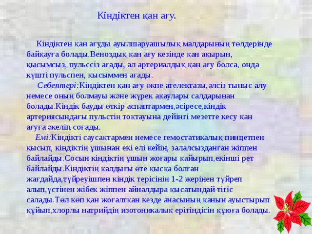 Жарақат алу қан ағу және күйік шалу кезінде көрсетілетін алғашқы медициналық көмек презентация