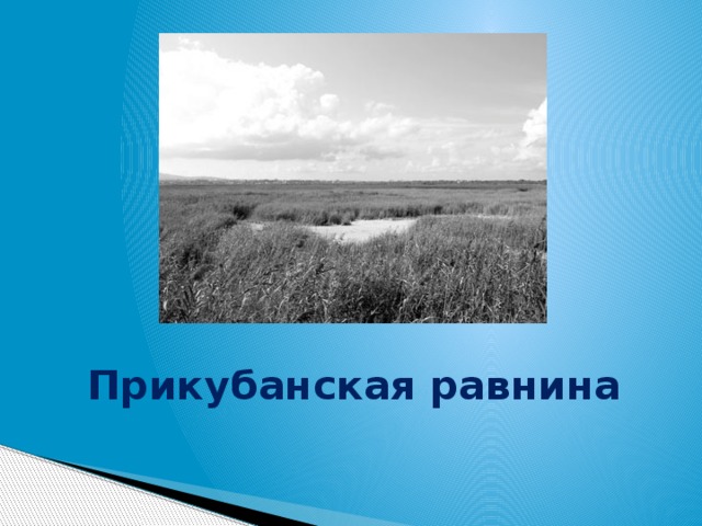 Особенности прикубанской равнины. Прикубанская равнина. Прикубанская равнина презентация. Расположение Прикубанской равнины. Прикубанская низменность на карте.