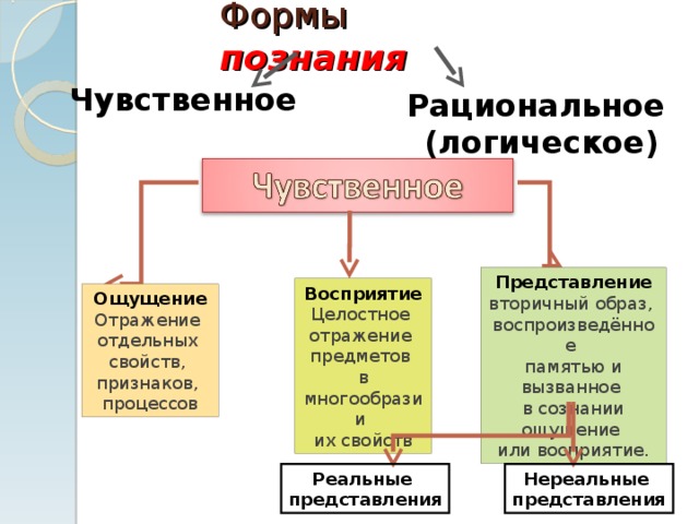 Чувственное логическое познание