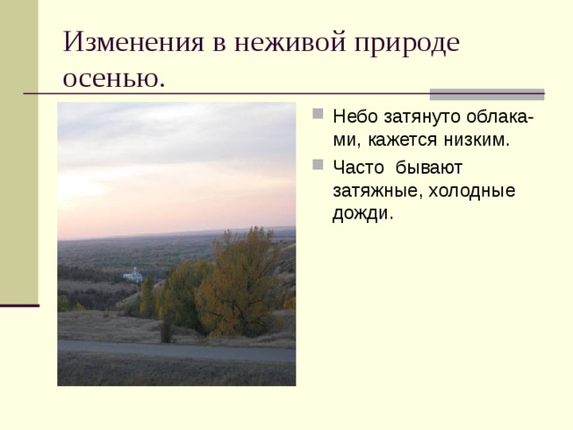 Изменения в неживой природе осенью. Небо затянуто облака-ми, кажется низким. Часто бывают затяжные, холодные дожди.  