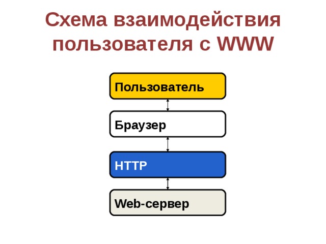 Схема взаимодействия пользователя с WWW Пользователь Браузер HTTP Web-сервер 