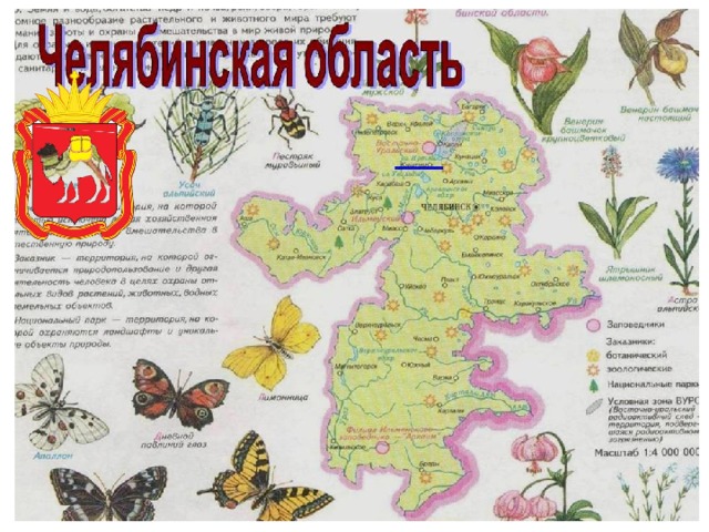 Бабочки. занесенные в Красную книгу Южного Урала