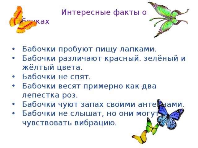 План своего сообщения или важные сведения о бабочках 2 класс окружающий мир