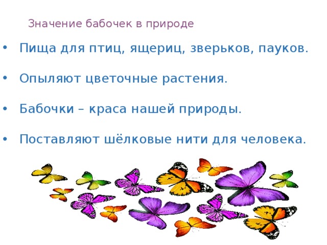 Значение бабочек в природе Пища для птиц, ящериц, зверьков, пауков. Опыляют цветочные растения. Бабочки – краса нашей природы. Поставляют шёлковые нити для человека. 