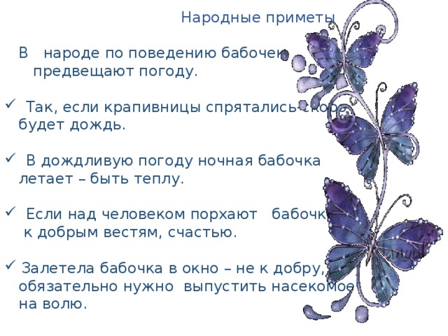  Народные приметы  В народе по поведению бабочек  предвещают погоду.  Так, если крапивницы спрятались-скоро  будет дождь.  В дождливую погоду ночная бабочка  летает – быть теплу.  Если над человеком порхают бабочки –  к добрым вестям, счастью. Залетела бабочка в окно – не к добру,  обязательно нужно выпустить насекомое  на волю. 