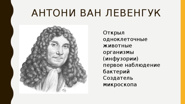 Открытие ван левенгука. Антони Ван Левенгук открытия. Антони Ван Левенгук открыл одноклеточные организмы. Антони Ван Левенгук одноклеточных организмов. Антони Ван Левенгук инфузория.