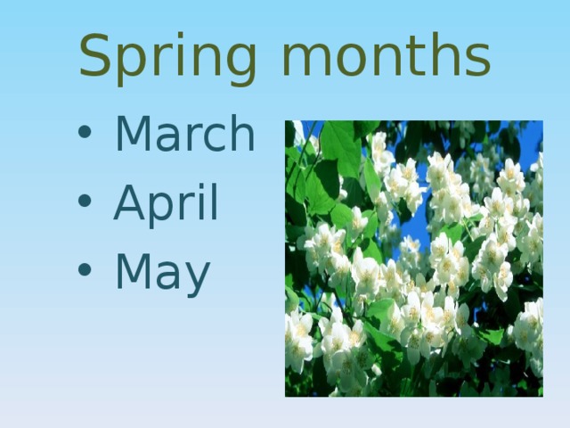 Spring months  March  April  May 