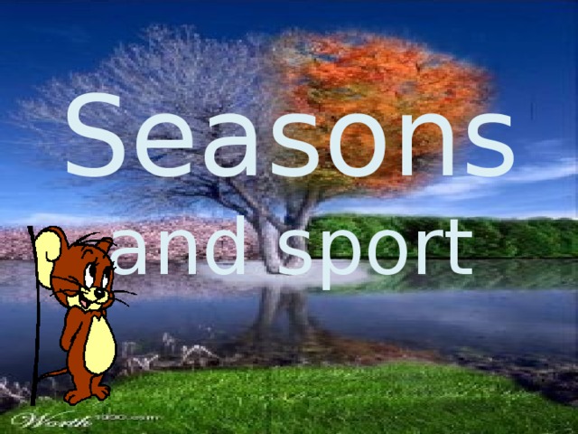 Seasons  and sport 