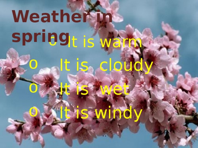 Weather in spring  It is warm  It is warm  It is warm   It is cloudy  It is wet    It is windy 