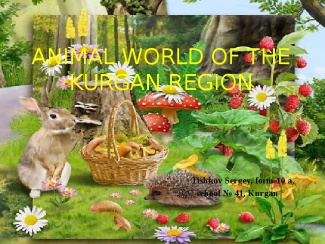 ANIMAL WORLD OF THE KURGAN REGION      Tishkov Sergey, form 10 a,  school № 41, Kurgan 