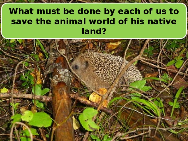 What must be done by each of us to save the animal world of his native land?  