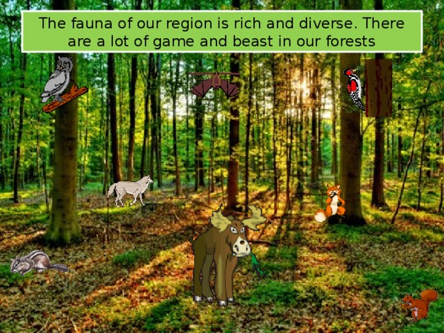 The fauna of our region is rich and diverse. There are a lot of game and beast in our forests 