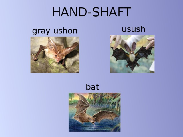 HAND-SHAFT usush gray ushon bat 