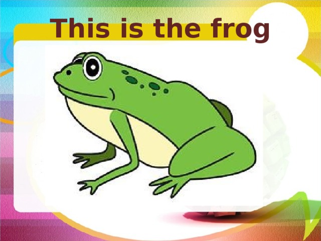 This is the frog   