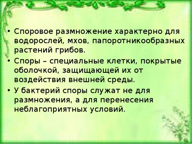 Споровое размножение характерно для водорослей, мхов, папоротникообразных растений грибов. Споры – специальные клетки, покрытые оболочкой, защищающей их от воздействия внешней среды. У бактерий споры служат не для размножения, а для перенесения неблагоприятных условий. 