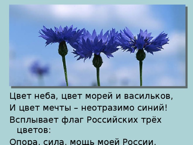 Цвет неба, цвет морей и васильков, И цвет мечты – неотразимо синий! Всплывает флаг Российских трёх цветов: Опора, сила, мощь моей России. 