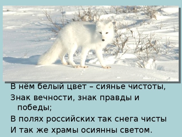 В нём белый цвет – сиянье чистоты, Знак вечности, знак правды и победы; В полях российских так снега чисты И так же храмы осиянны светом. 