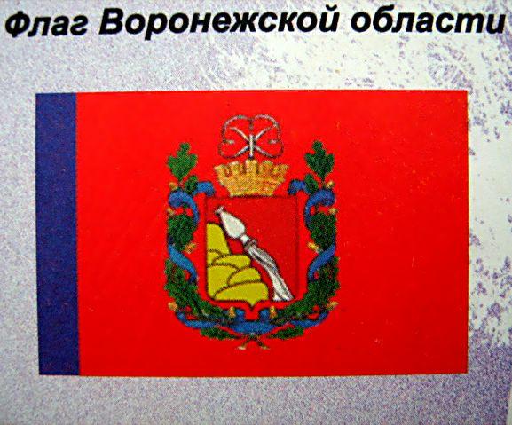 Как выглядит воронежская область флаг