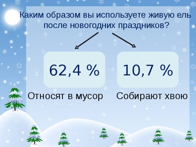 Каким образом вы используете живую ель после новогодних праздников? 62,4 % 10,7 % Относят в мусор Собирают хвою 