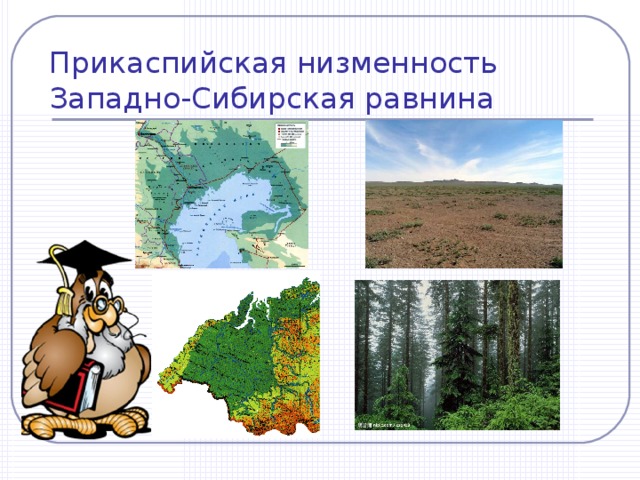 Тест по западно сибирской равнине 8 класс. Прикаспийская низменность рисунок. Средняя высота Прикаспийской низменности. Сибирско Прикаспийская низменность. Прикаспийская низменность природная зона.