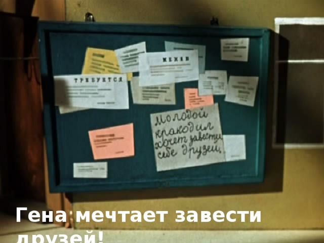 Гена мечтает завести друзей! 